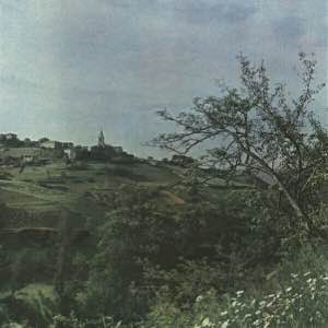 Paysage de campagne, Gabriel Louis-Marie Bargillat (1891-1968), autochrome, bibliothèque numérique de Lyon. #old #autochrome #photography #green #landscape